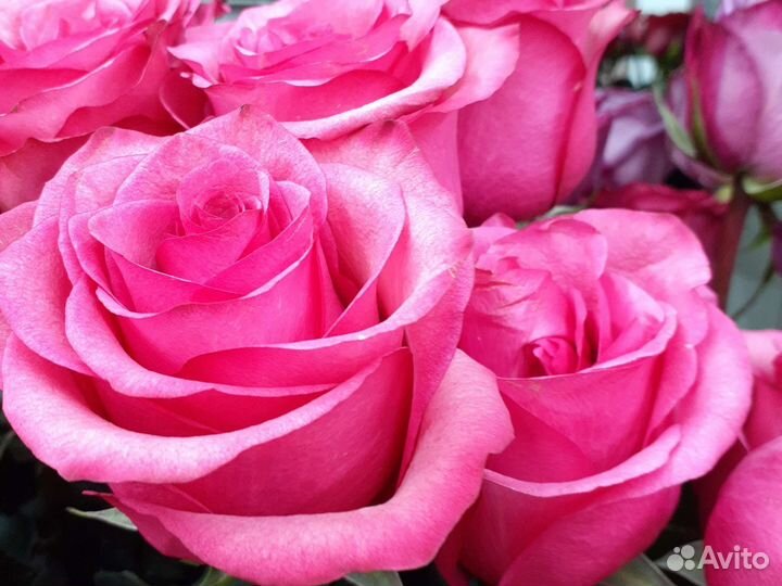 Цветы, букеты, доставка