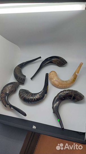 Шофар, бараний рог