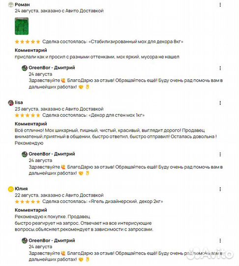 Вечно зеленый мох для интерьера дизайн стен