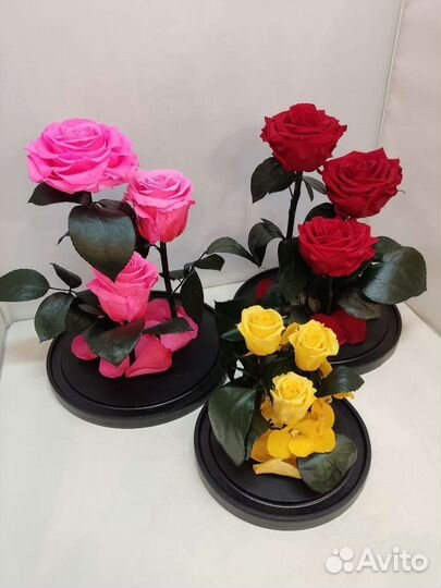 Цветы оптом