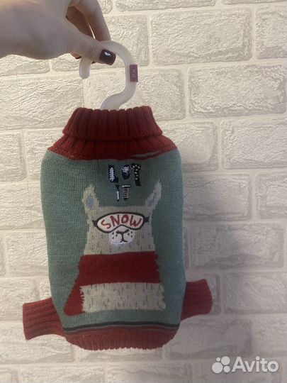 Костюм для животных