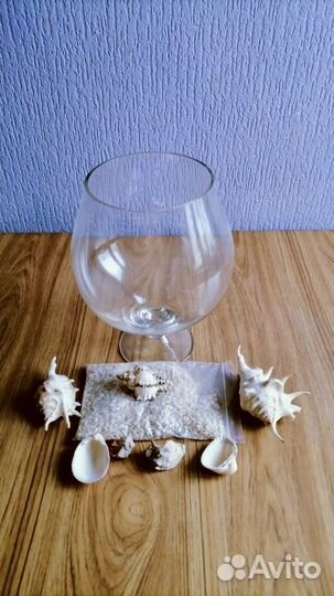 Аквариум бокал