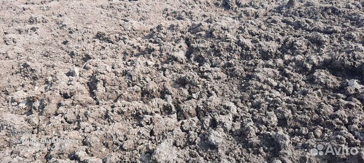 Коровий навоз, перегной