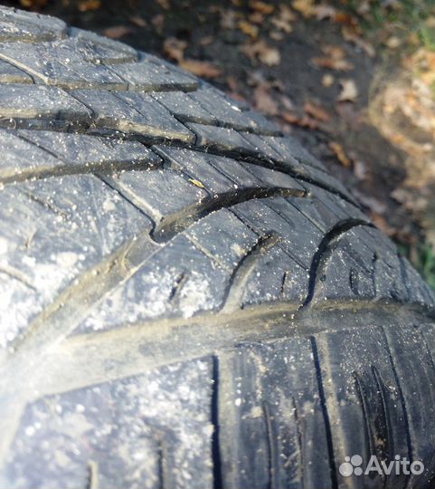 Диск с резиной Кама-204 175/70 R13