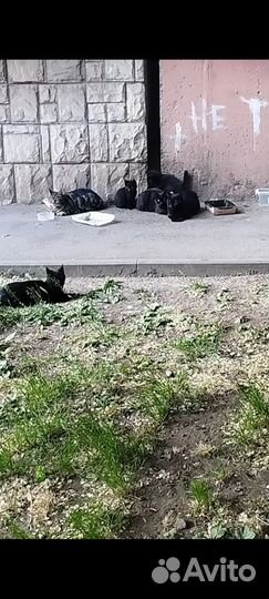 Шок