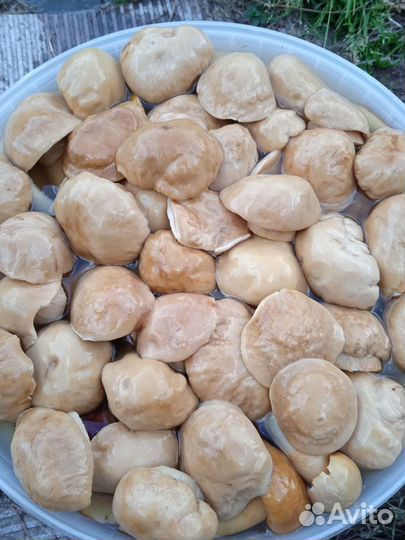 Все для дома и дачи