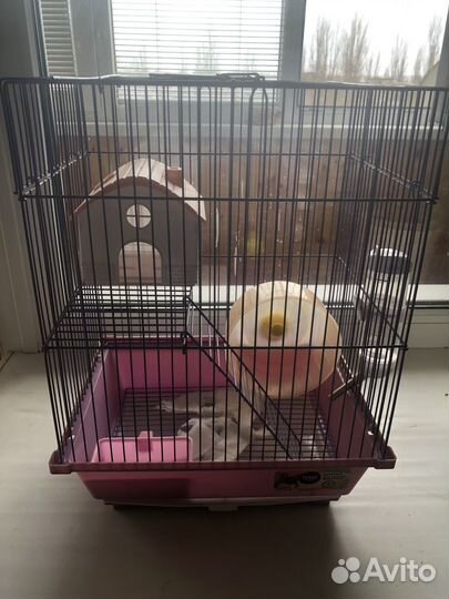 Клетка для грызунов