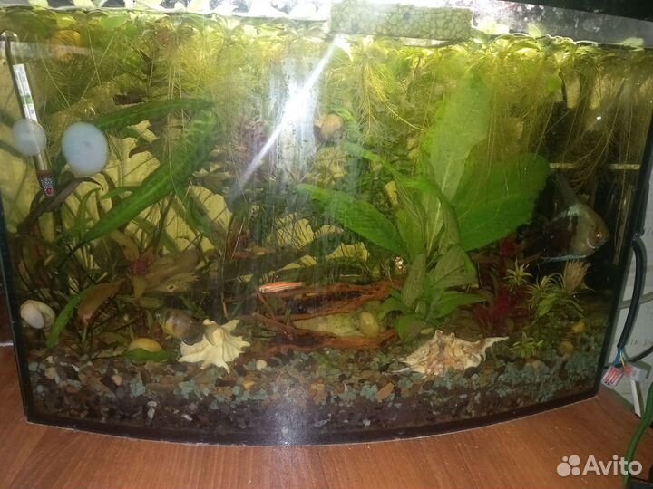 Аквариум 40л