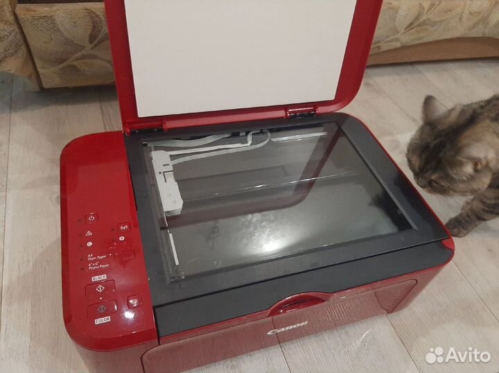 Принтер canon Pixma