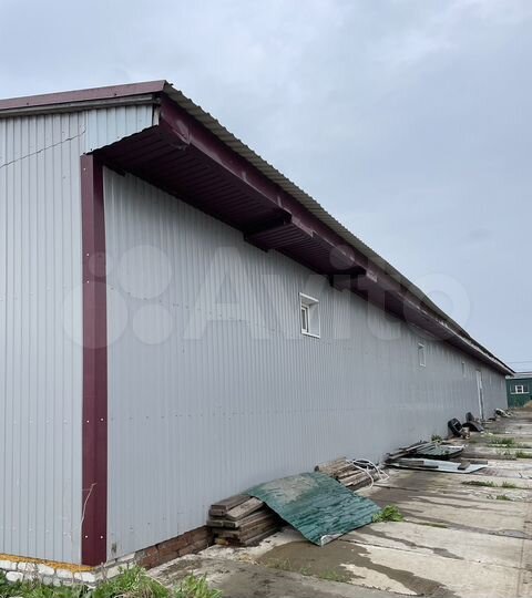 Свободного назначения, 500 м²