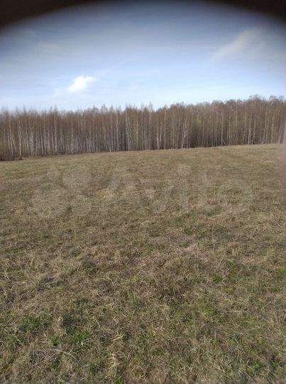 Участок 92 сот. (СНТ, ДНП)