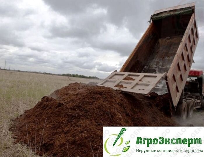 Чернозем сеянный