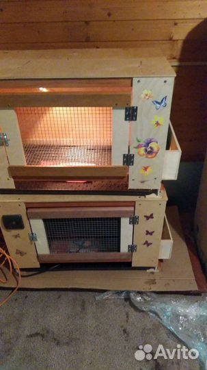 Брудер для цыплят