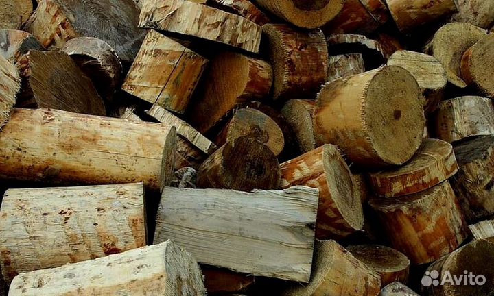 Дрова осина ольха