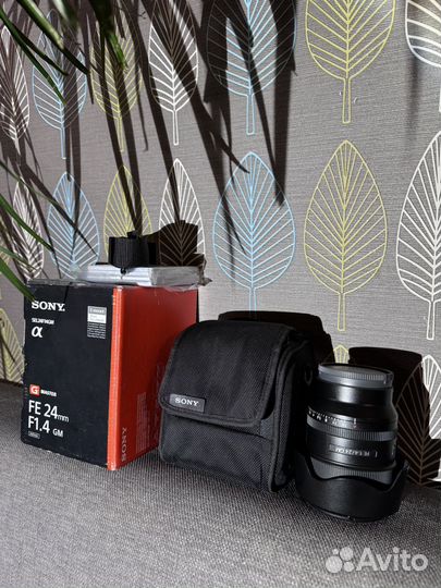 Sony fe 24mm f 1 4 GM