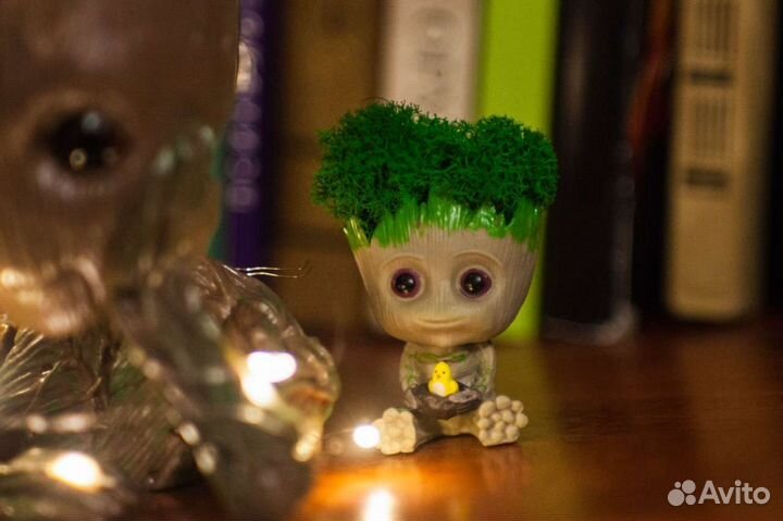 Кашпо с мхом