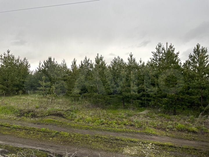 Участок 10 сот. (ИЖС)