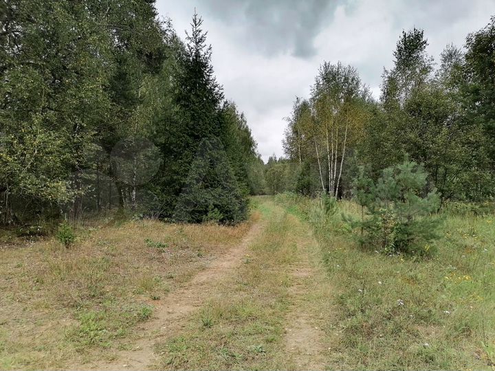 Участок 12,03 га (СНТ, ДНП)