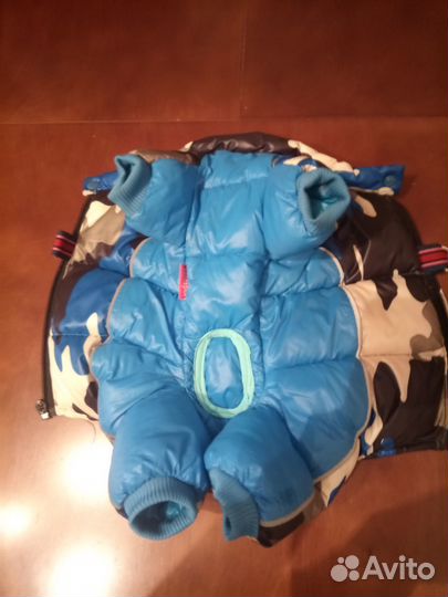 Одежда для собак