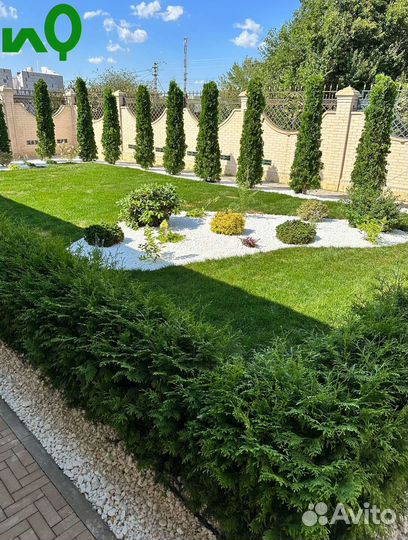 Рулонный газон/ автополив под ключ