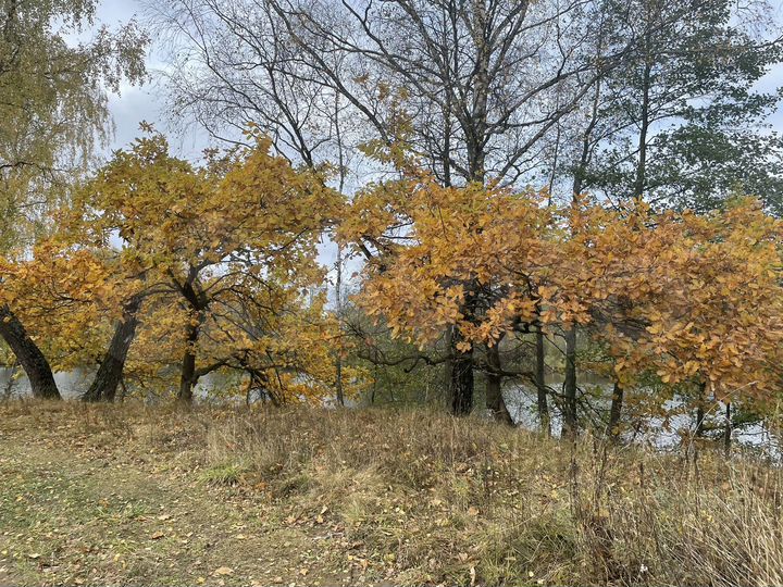 Участок 6 сот. (ИЖС)