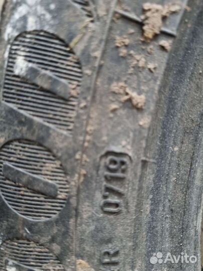 Cordiant Business CW 2 205/55 R16