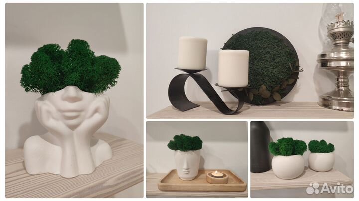 Картина (панно) из стабилизированного мха