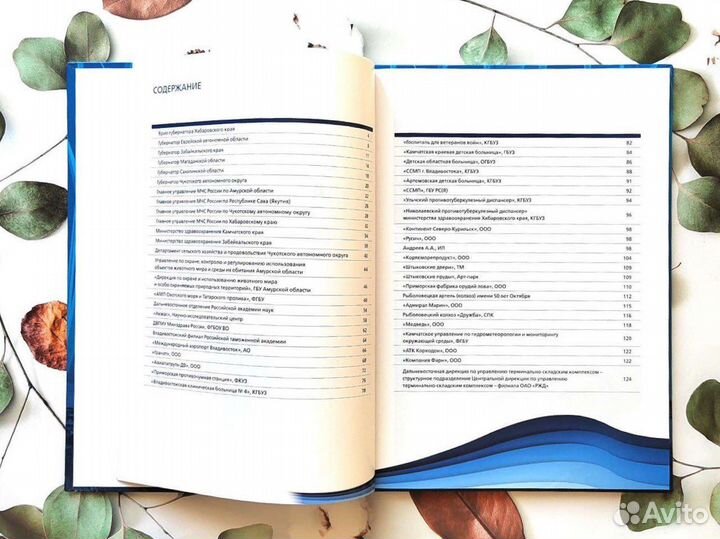 Книга - альбом Дальневосточный регион в лицах