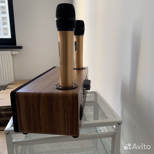 Караоке система для дома колонка для телевизора