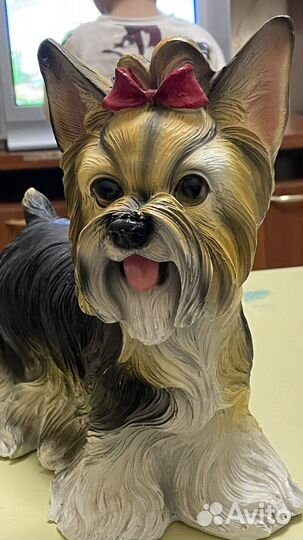 Собака капилка