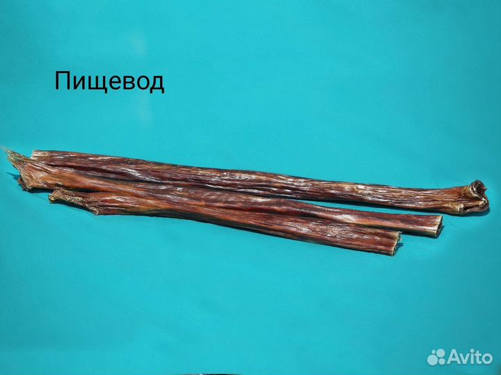 Сухие лакомства для собак