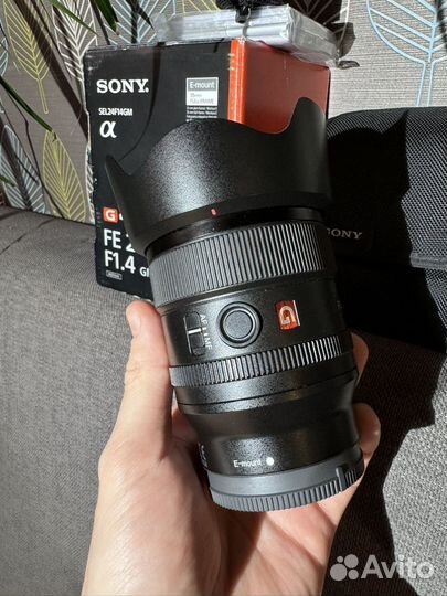 Sony fe 24mm f 1 4 GM