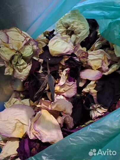 Сухие лепестки цветов, сухоцветы пакет