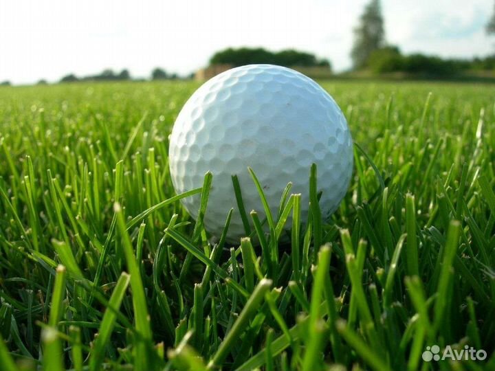 Семена газонной травы есо 5 кг