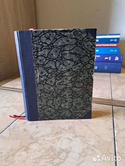 Чудесное путешествие на гусях (Нильс)