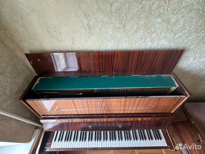 Пианино кубань