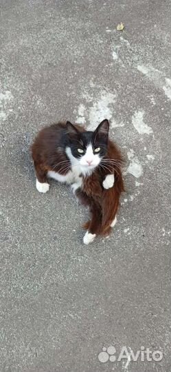 Очень нужен дом