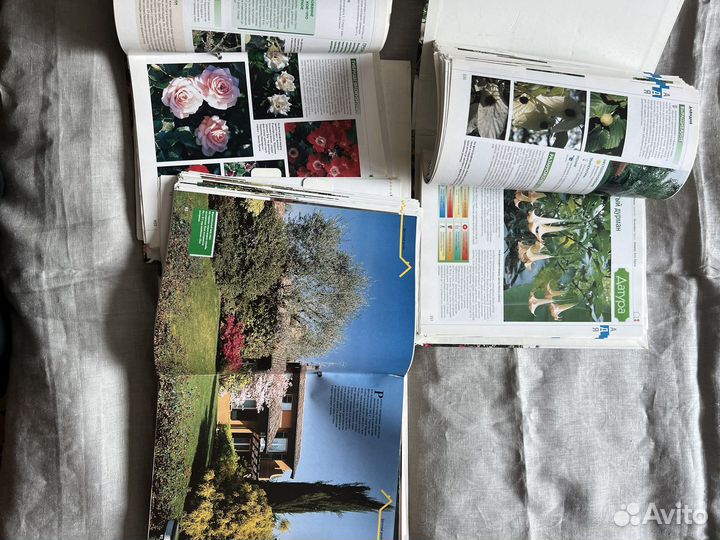 Каталоги 3 шт. Все о растениях