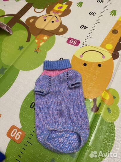 Одежда для маленьких собак