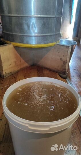 Мёд.Прополис