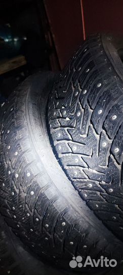 Nokian Tyres Nordman 8 205/50 R17 93T