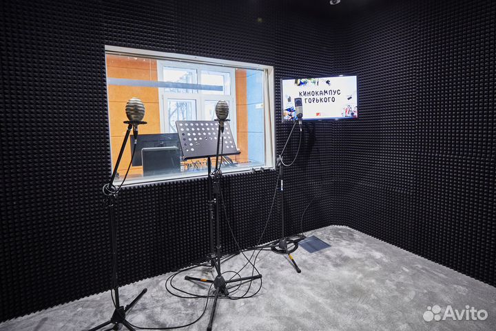 Почасовая аренда студии звукозаписи; запись голоса