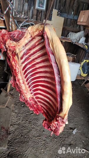 Конина частями