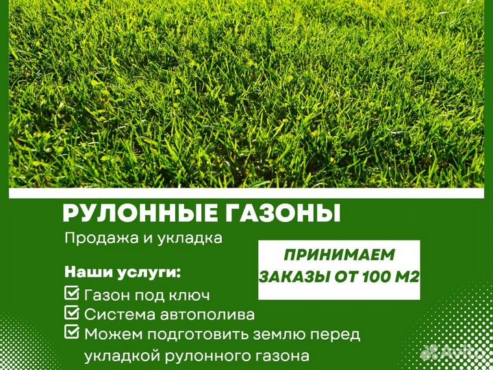 Рулонный газон, укладка, продажа