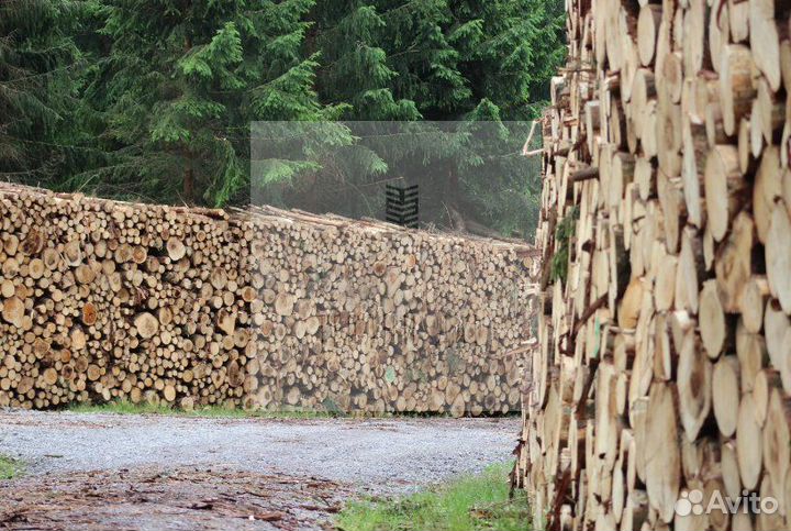 Дрова колотые