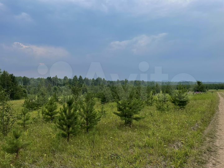 Участок 15 сот. (ИЖС)