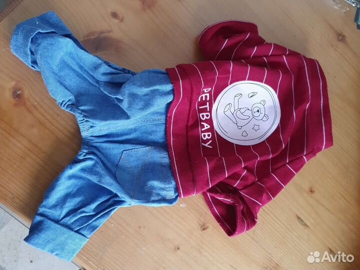 Одежда доя маленькой собачки