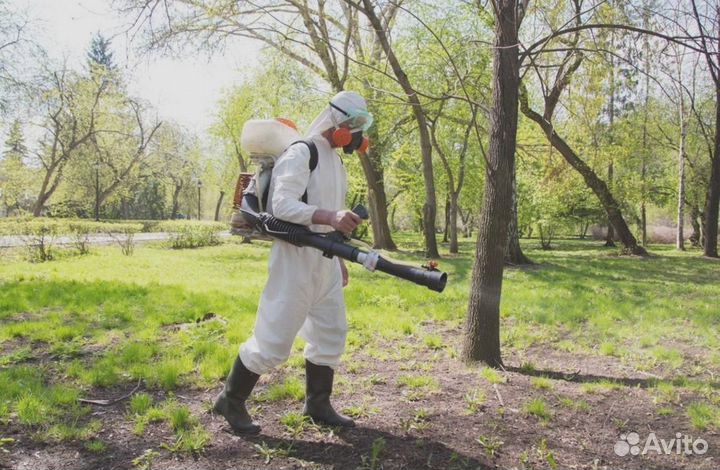 Уничтожение клопов тараканов клещей