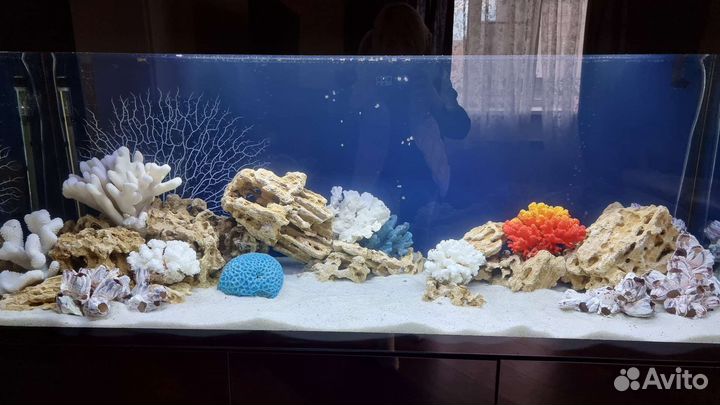 Аквариумы, оформление, обслуживание, рыбки