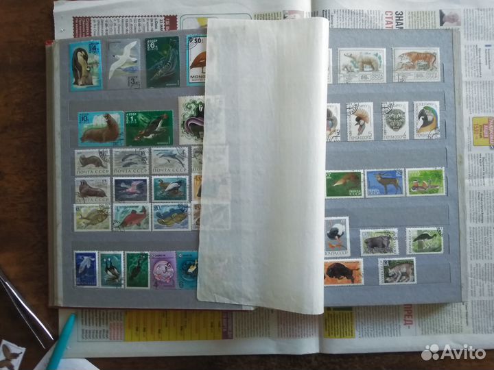 Альбом для марок 4